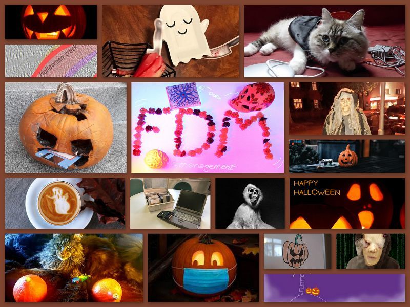 Eine Collage aus diversen eingereichten Bildern und Fotos zum Thema Halloween und Forschungsdaten. Zu sehen sind verschiedene Kürbisse, Geister, Katzen und alte Technik.